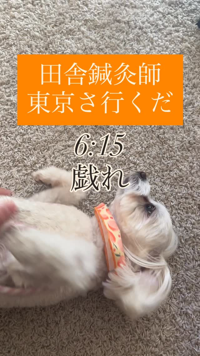 かつての同じ整骨院会社で苦楽を共にした同期に会ってきました😊